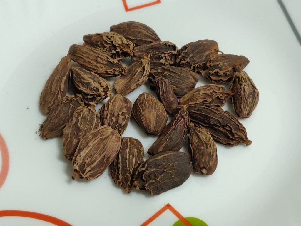 Black cardamom