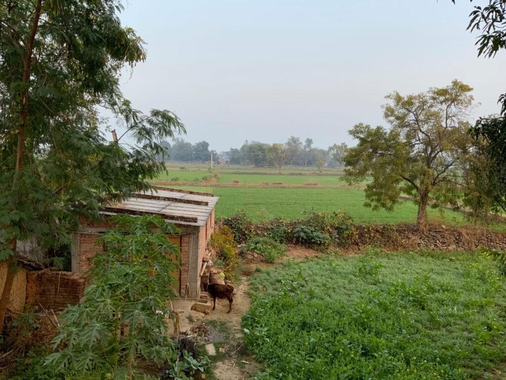 Mau Village, Madhya Pradesh