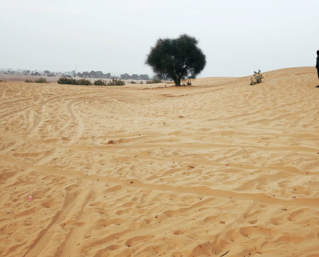 Kanoi Village Jaisalmer